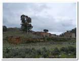 Horcajo y San German Ciudad Real